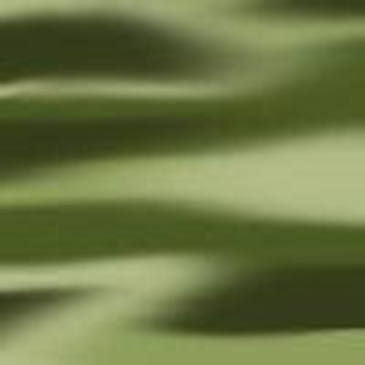 Green Stripe-swatch